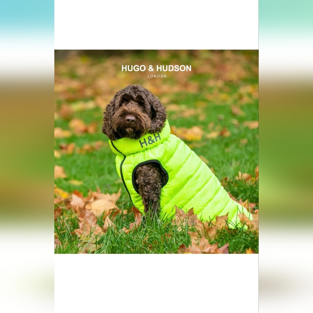 HUGO & HUDSON Reversible Dog Coat Puffer Jacket | GREEN/BLUE (S30)